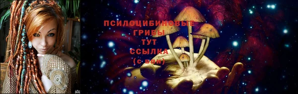 крисы Белокуриха