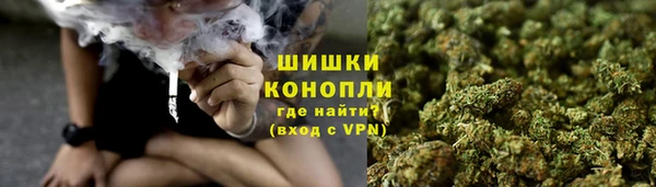 крисы Белокуриха