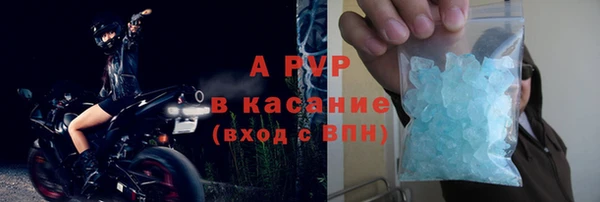 крисы Белокуриха
