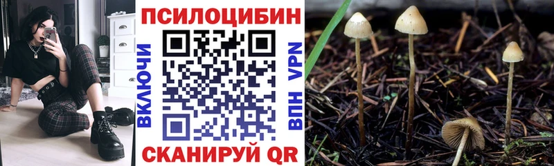 Галлюциногенные грибы GOLDEN TEACHER  гидра сайт  Кондрово 